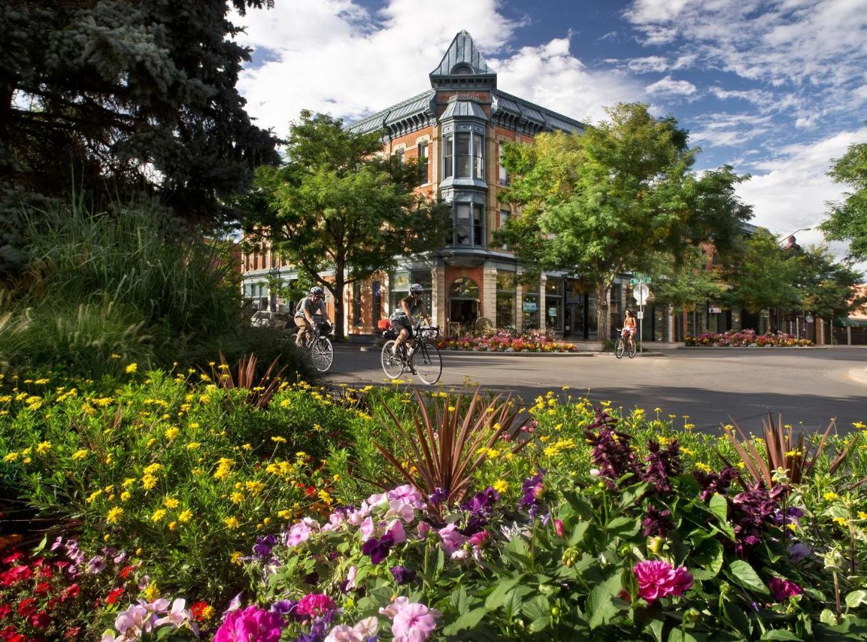 Lola House! Cozy Comfort, Prime Old Town Location Форт-Коллінс Екстер'єр фото